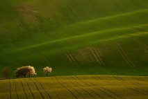 Výstava fotografií