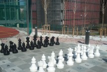 Chess 