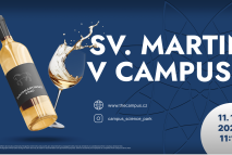 Sv. Martin v Campusu